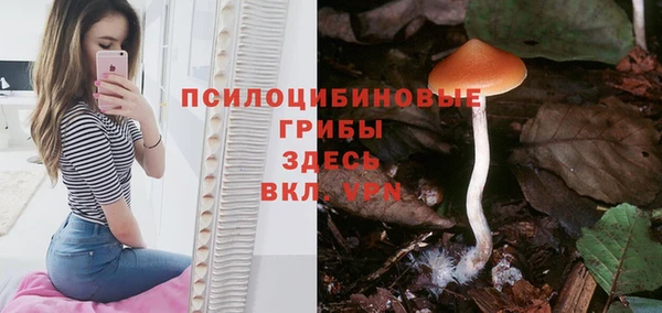 кокаин колумбия Алексин