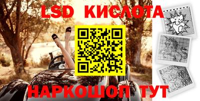 крисы Моздок
