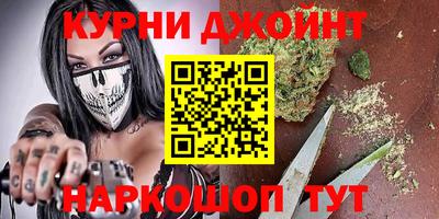 крисы Моздок