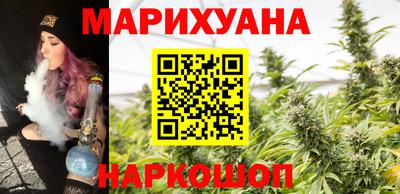 крисы Моздок