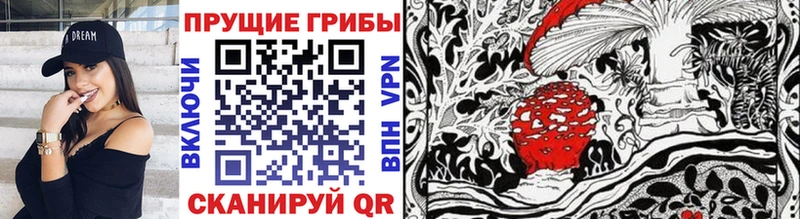 блэк спрут ССЫЛКА  закладки  Сочи  Псилоцибиновые грибы Cubensis 