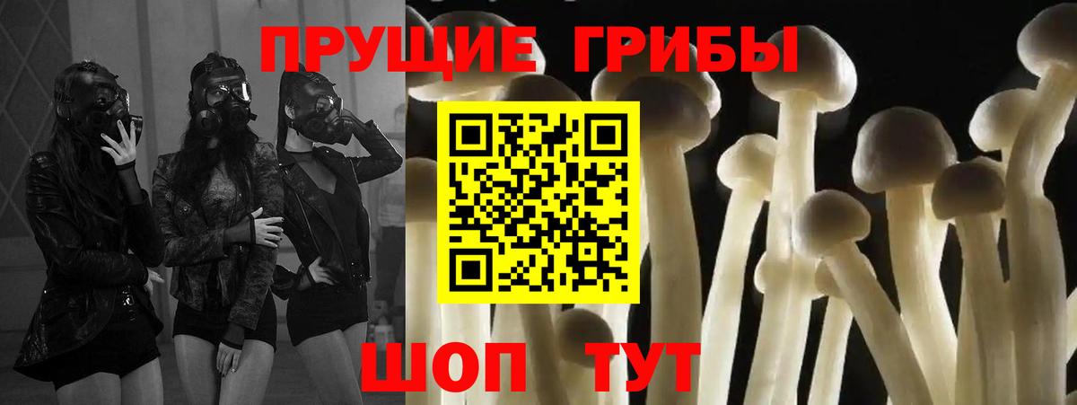 Галлюциногенные грибы прущие грибы Сочи